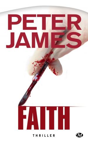 Cover of the book Faith by Melissa Caruso