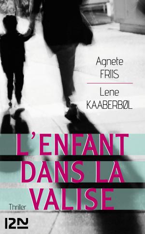 Cover of the book L'enfant dans la valise by Danielle STAR