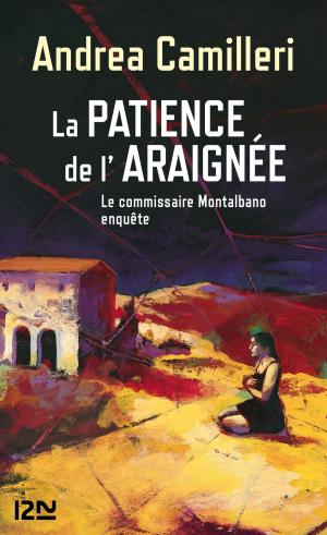 Cover of the book La patience de l'araignée by Évelyne BRISOU-PELLEN