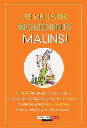 Cover of the book Les meilleurs ingrédients, c'est malin by Valérie Robert