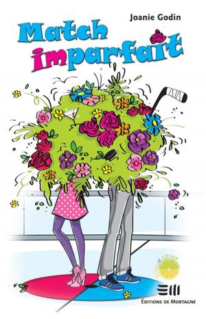 Cover of the book Match imparfait by Pilon Marc-André
