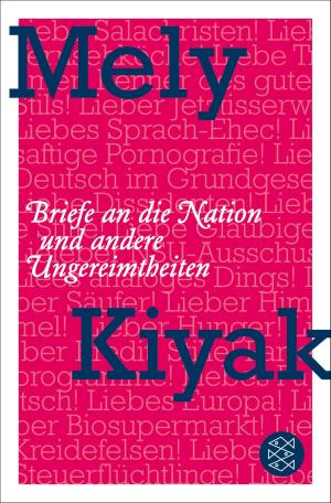 Cover of the book Briefe an die Nation by Marlene Streeruwitz