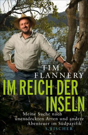 Cover of the book Im Reich der Inseln by Clemens Meyer