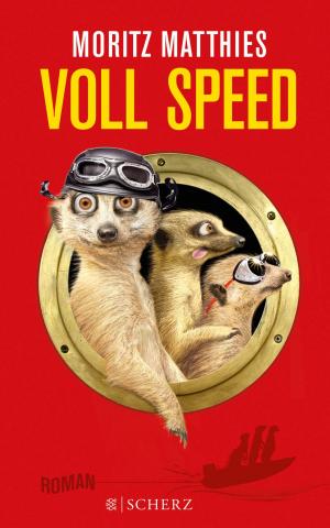 Book cover of Voll Speed