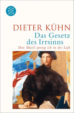 Cover of the book Das Gesetz des Irrsinns by Kathrin Röggla
