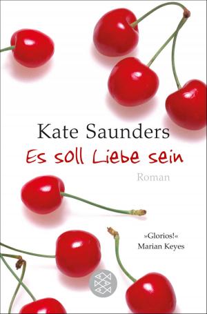Cover of the book Es soll Liebe sein by Ilija Trojanow, Thomas Gebauer