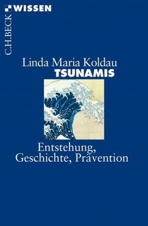 Cover of the book Tsunamis by Hans Pleschinski