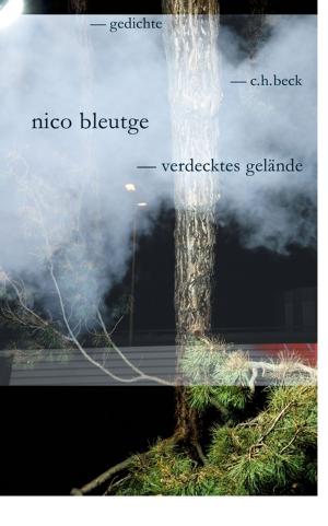 Cover of the book verdecktes gelände by Bernd Stöver