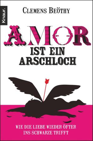 Cover of the book Amor ist ein Arschloch by Hanna Caspian