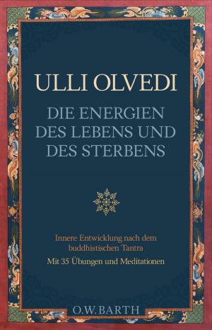Cover of the book Die Energien des Lebens und des Sterbens by Kenneth S. Cohen