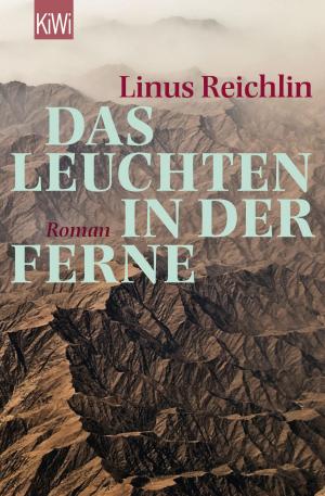Book cover of Das Leuchten in der Ferne