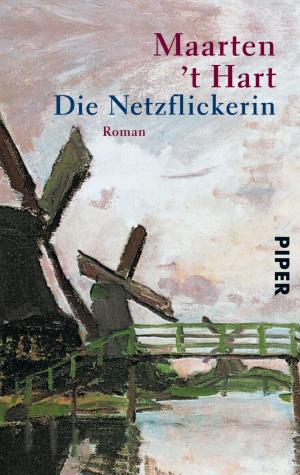 Cover of the book Die Netzflickerin by Brandon Sanderson