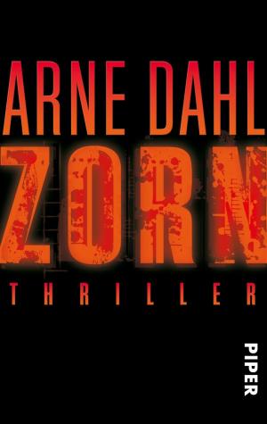 Cover of the book Zorn by Markus Heitz