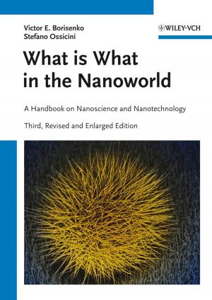 Cover of the book What is What in the Nanoworld by David Held