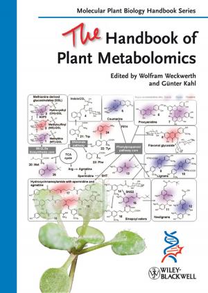 Cover of the book The Handbook of Plant Metabolomics by Stuart A. Klugman, Harry H. Panjer, Gordon E. Willmot