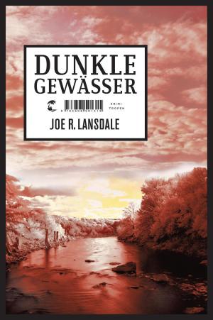 Book cover of Dunkle Gewässer