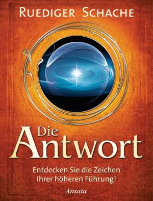 Cover of the book Die Antwort by Sandra Ingerman, Llyn Roberts