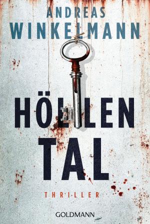 Cover of the book Höllental by Theresa Saunders
