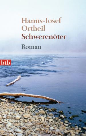 Cover of the book Schwerenöter by Juli Zeh