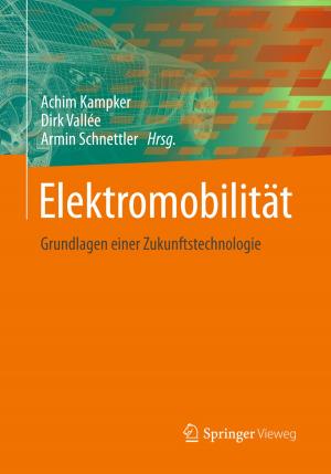 Cover of the book Elektromobilität by B. von Salis, G. E. Fackelman, D. M. Nunamaker, O. Pohler