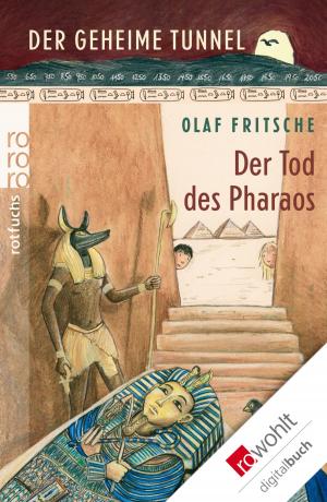 Cover of the book Der geheime Tunnel: Der Tod des Pharaos by Jan Seghers