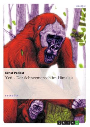 Cover of the book Yeti - Der Schneemensch im Himalaja by Renate Enderlin