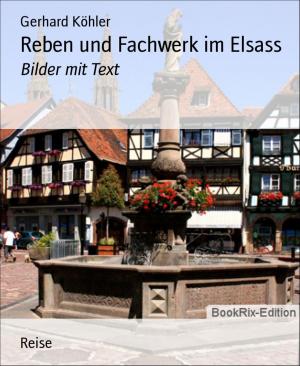 Cover of the book Reben und Fachwerk im Elsass by Kurt Carstens, Frank Rehfeld, Carsten Meurer, Wilfried A. Hary