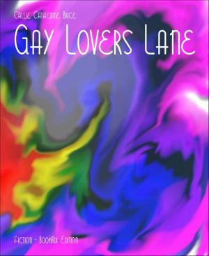 Book cover of Gay Lovers Lane