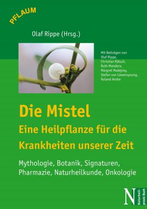 Book cover of Die Mistel - Eine Heilpflanze für die Krankheiten unserer Zeit