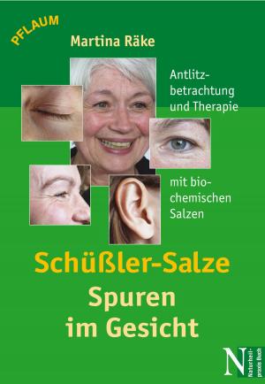 Cover of the book Schüßler-Salze - Spuren im Gesicht by Body Axis