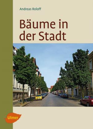Cover of the book Bäume in der Stadt by Friedel Bernhardt, Armin Kühne
