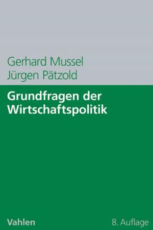 Cover of the book Grundfragen der Wirtschaftspolitik by Manfred Bruhn