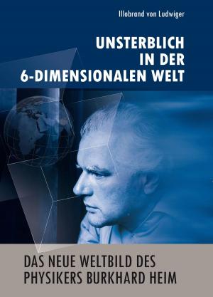 Cover of Das neue Weltbild des Physikers Burkhard Heim