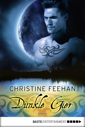 Cover of the book Dunkle Gier by Terri Lane