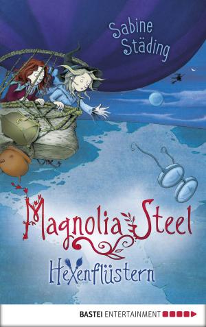 Cover of the book Magnolia Steel - Hexenflüstern by Jodi Picoult, Samantha van Leer