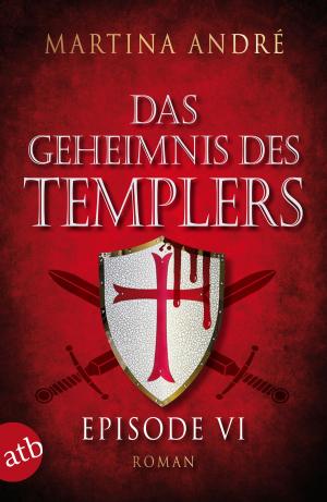 Cover of the book Das Geheimnis des Templers - Episode VI by Liliane L. Gratton