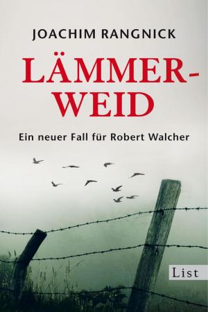 Cover of the book Lämmerweid by Petra Durst-Benning