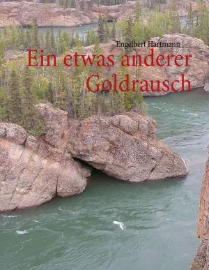 Cover of the book Ein etwas anderer Goldrausch by Sylvia Schwanz