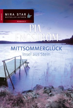 Cover of the book Insel aus Stein by Pia Engström