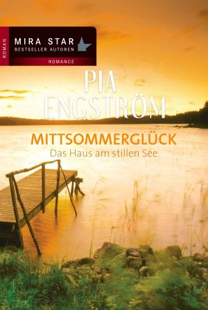 Cover of the book Das Haus am stillen See by Laura Gambrinus