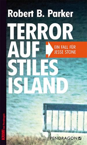 Cover of the book Terror auf Stiles Island by Sigrid Lichtenberger