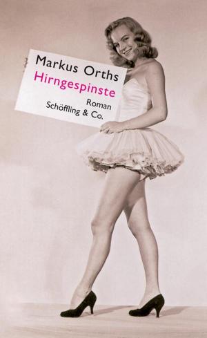 Cover of the book Hirngespinste by Daan Heerma van Voss, Thomas Heerma van Voss