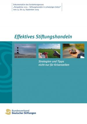 Cover of the book Effektives Stiftungshandeln. Strategien und Tipps nicht nur für Krisenzeiten by Burkhard Küstermann