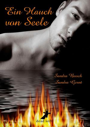 Cover of the book Ein Hauch von Seele by Sandra Busch, Sandra Gernt