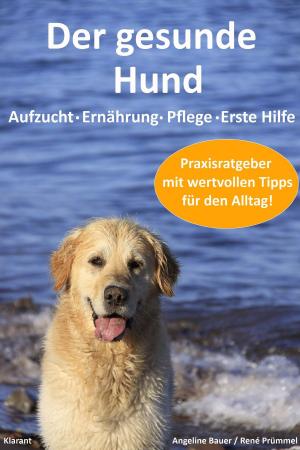 Cover of the book Der gesunde Hund. Hunde Praxisratgeber mit wertvollen Tipps: Hundeerziehung, Hundeernährung, Hundepflege und Erste Hilfe by Bärbel Muschiol