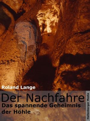 Book cover of Der Nachfahre - Das spannende Geheimnis der Höhle