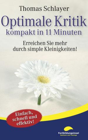 Cover of the book Optimale Kritik - kompakt in 11 Minuten by Fernando Tavares Filho