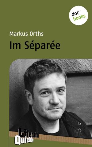 Cover of the book Im Séparée - Literatur-Quickie by Stephan M. Rother