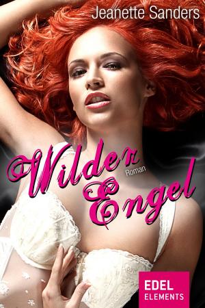 Book cover of Wilder Engel