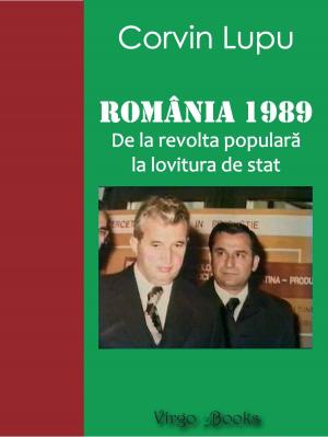 Cover of the book România 1989. De la revolta populară la lovitura de stat by C.J. Cahill